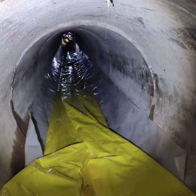 龙子湖管道光固化修复