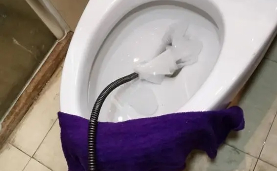 龙子湖马桶疏通